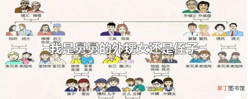 我是舅舅的外甥女还是侄子