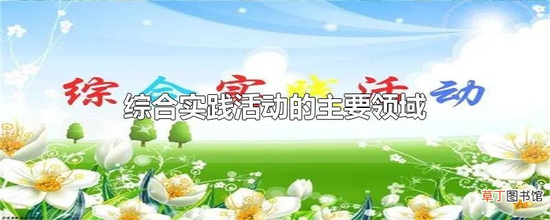 综合实践活动的主要领域