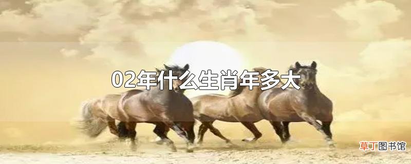 02年什么生肖年多大