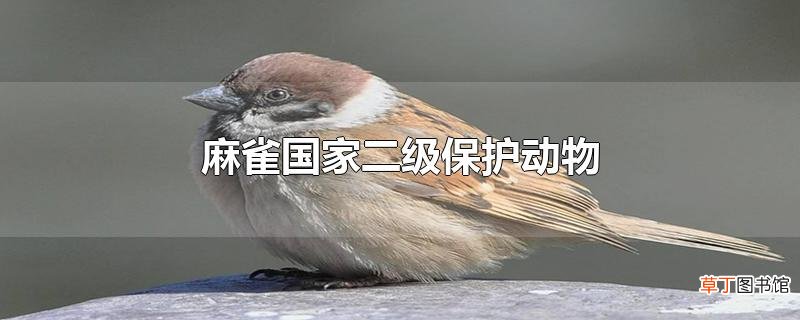 麻雀国家二级保护动物