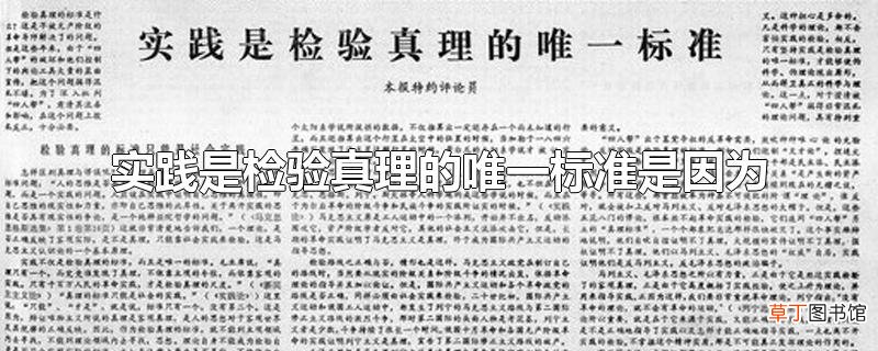 实践是检验真理的唯一标准是因为