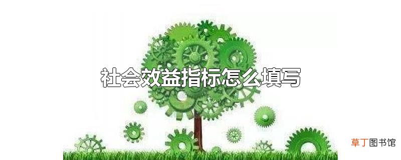 社会效益指标怎么填写