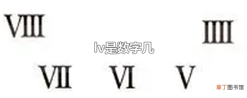 lv是数字几