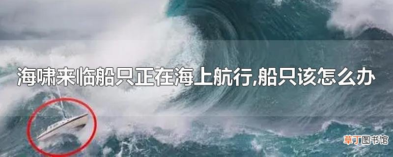 海啸来临船只正在海上航行,船只该怎么办