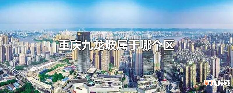 重庆九龙坡属于哪个区