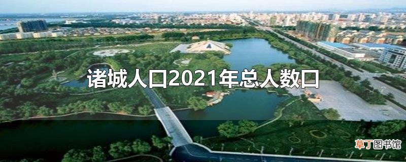 诸城人口2021年总人数口