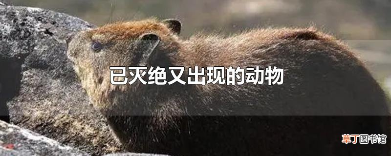 已灭绝又出现的动物