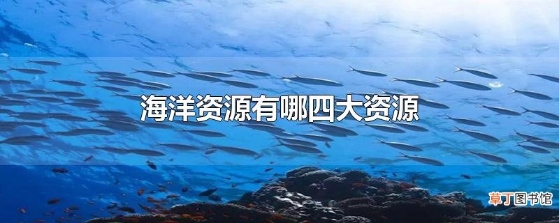 海洋资源有哪四大资源