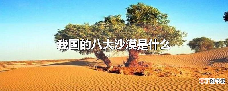 我国的八大沙漠是什么