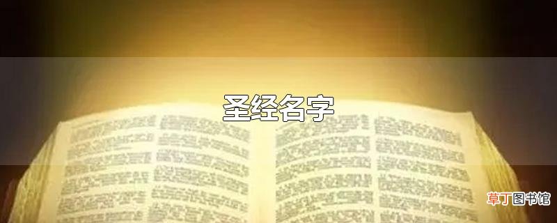 圣经名字