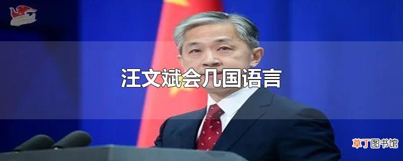 汪文斌会几国语言