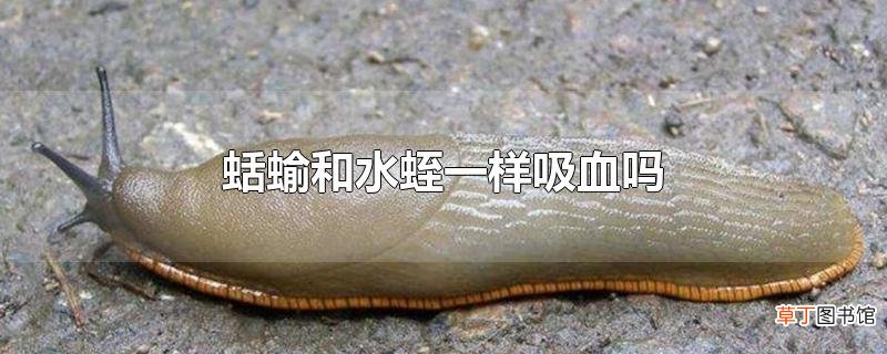 蛞蝓和水蛭一样吸血吗