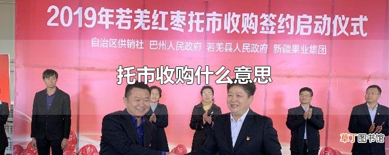 托市收购什么意思