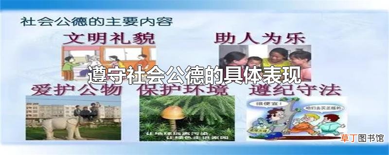 遵守社会公德的具体表现