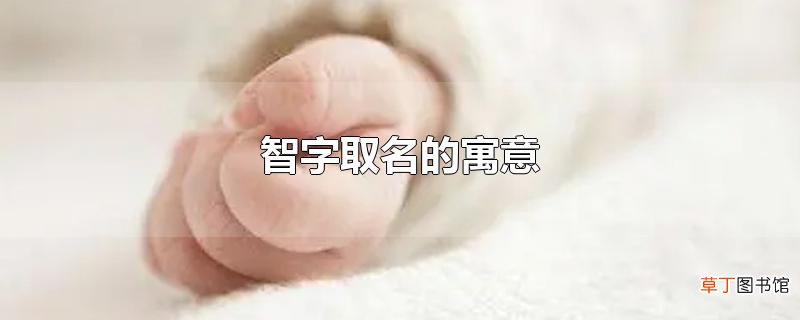 智字取名的寓意
