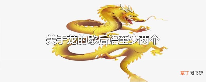 关于龙的歇后语至少两个