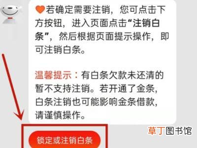 怎样注销京东白条