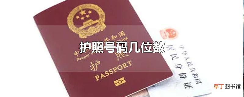 护照号码几位数