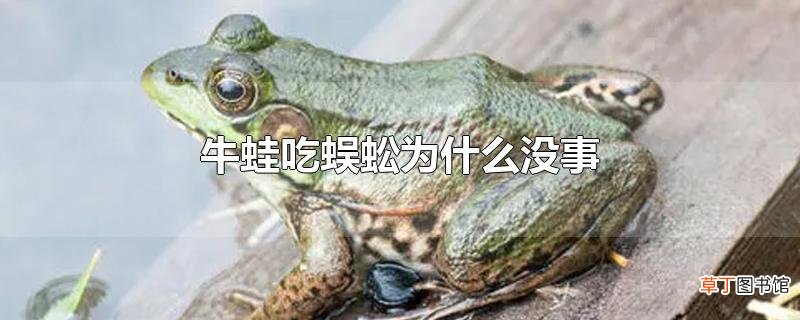 牛蛙吃蜈蚣为什么没事