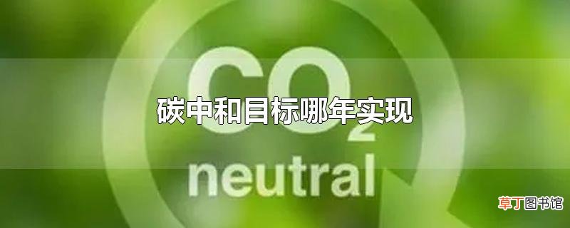 碳中和目标哪年实现