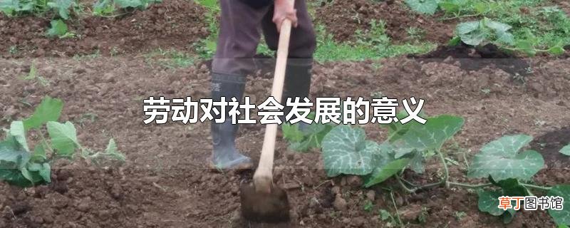 劳动对社会发展的意义