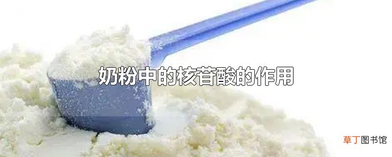 奶粉中的核苷酸的作用
