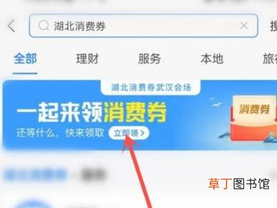 支付宝怎么领取湖北消费券