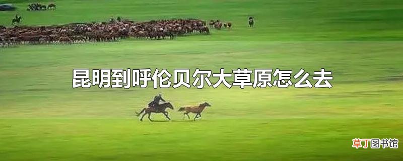 昆明到呼伦贝尔大草原怎么去