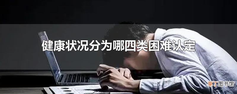 健康状况分为哪四类困难认定