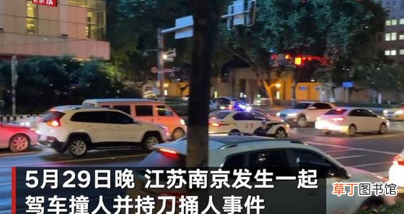 胖哥被认定见义勇为 南京胖哥已恢复意识还与家人通话