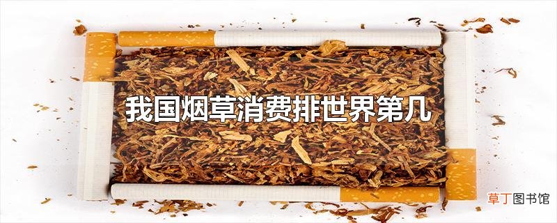 我国烟草消费排世界第几
