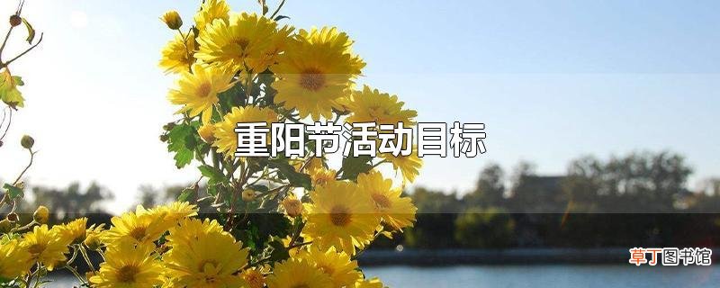 重阳节活动目标