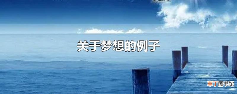 关于梦想的例子