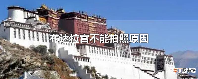 布达拉宫不能拍照原因