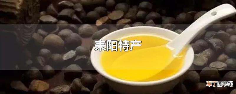 耒阳特产
