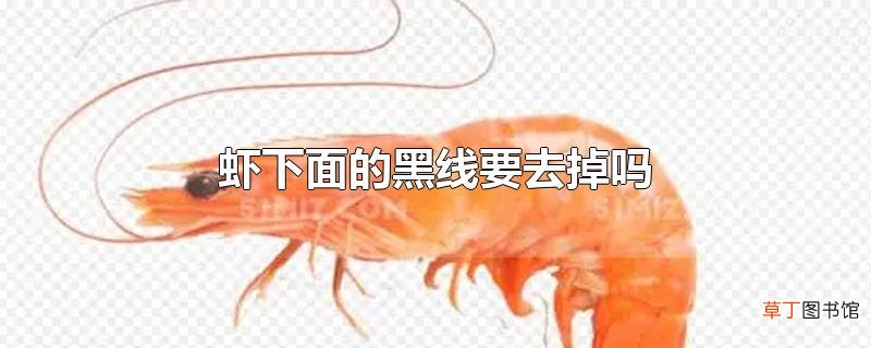 虾下面的黑线要去掉吗