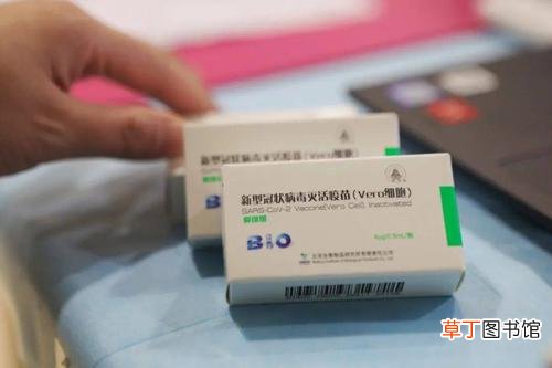 新冠疫苗三针和两针的区别 新冠疫苗三针保护率是多少