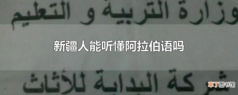 新疆人能听懂阿拉伯语吗