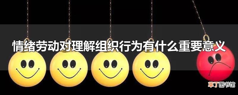 情绪劳动对理解组织行为有什么重要意义