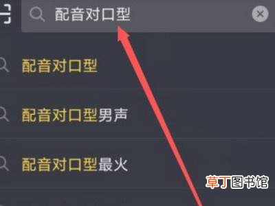 抖音对口型怎么拍成自己的作品