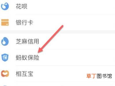 支付宝买的车险怎么看电子保单