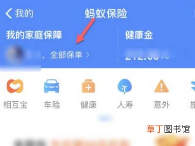 支付宝买的车险怎么看电子保单