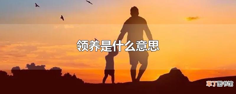 领养是什么意思