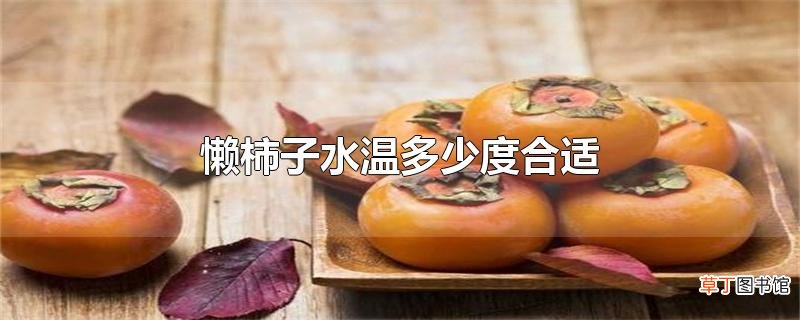 懒柿子水温多少度合适