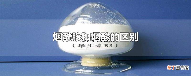 烟酰胺和烟酸的区别