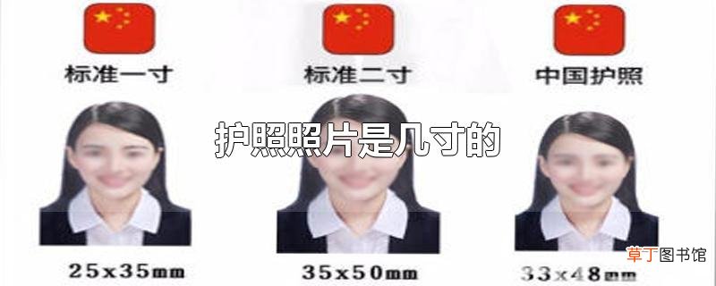 护照照片是几寸的