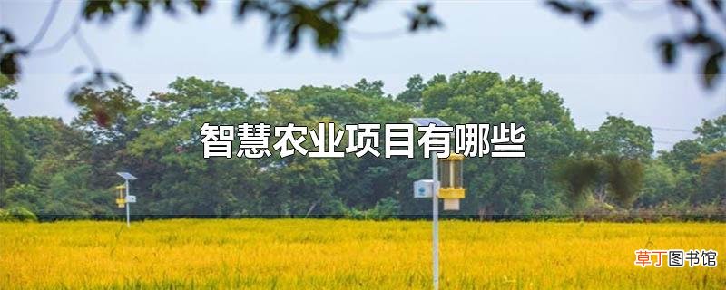 智慧农业项目有哪些