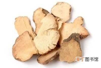 土茯苓的功效与应用 土茯苓的功效与作用)