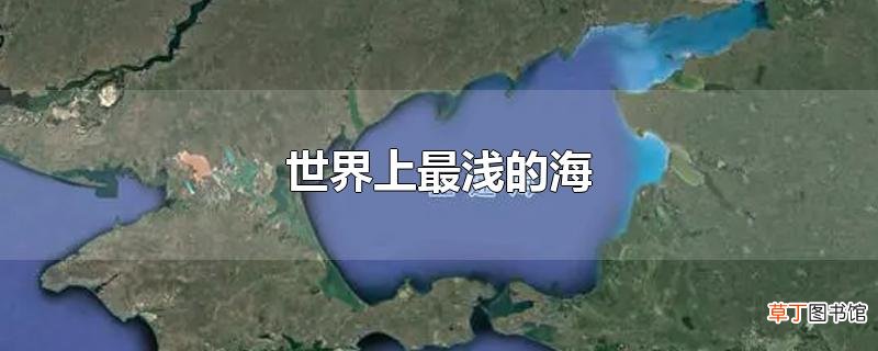世界上最浅的海