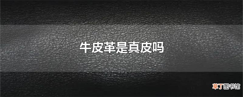 牛皮革是真皮吗